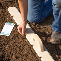 Planning & Plotting Your Market (or Backyard) Garden