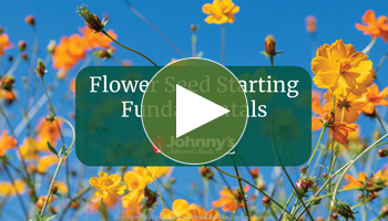 View Our Full Flower Seed Starting Fundamentals Webinar Video