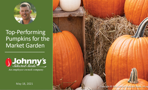 Top-Performing Pumpkins Webinar