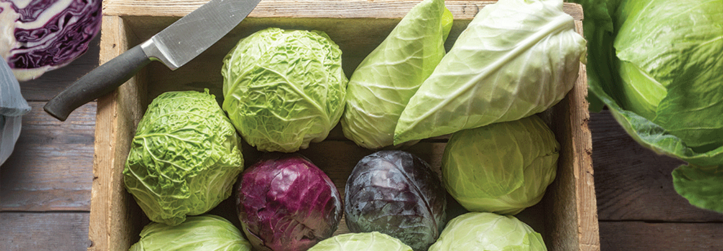 heads of cabbage