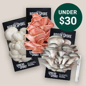 'Spray & Grow' Mushroom Kits
