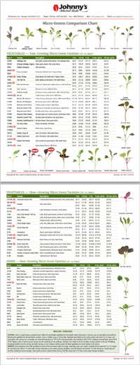 Vegetable Days To Maturity Chart