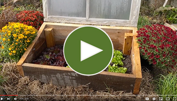 DIY Cold Frame Tutorial with Niki Jabbour • VIDEO