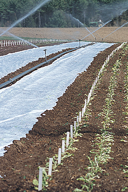 Agribon in the field Agribon in the field