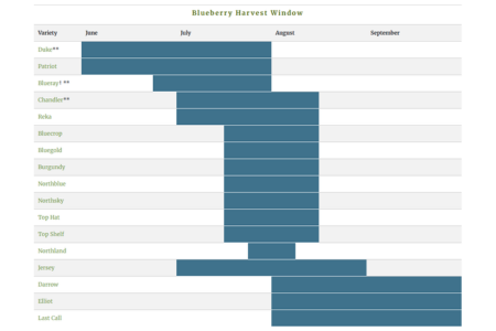 Johnny's blueberry harvest program