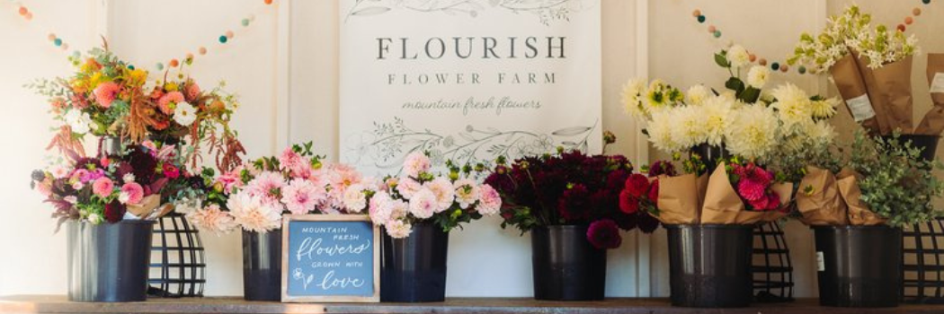 flowers in farmstand