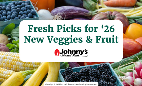 New Veg and Fruit for 2026