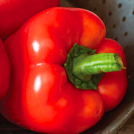 Olly Organic Bell Pepper Seed