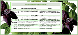 Interval Planting Chart for Herbs