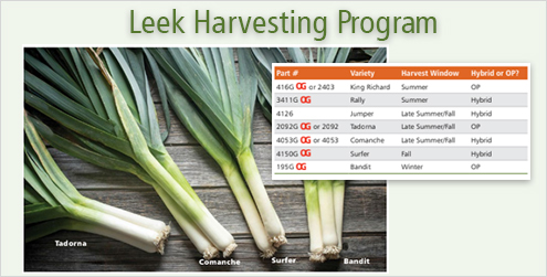 Leek Harvesting Program