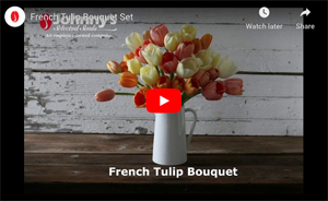 French Bouquet Tulip Set