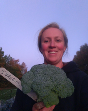 spring manure mix cover crop