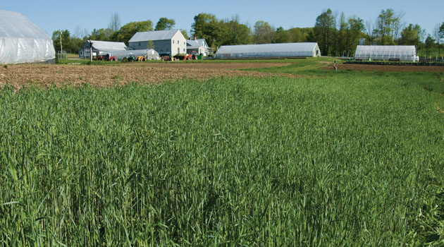 Uses and Benefits of Farm Seed