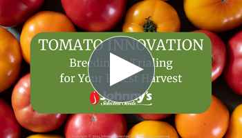 View Our Full Tomato Innovation Webinar Video