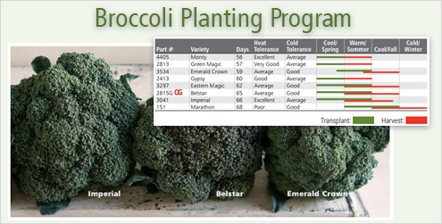 Standard Broccoli Planting Program