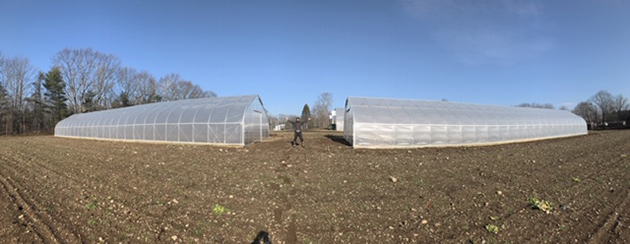 A pair of high tunnels prepared for overwinter trialing