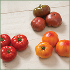 Modern Heirloom-like Varieties Modern Heirloom-like Varieties