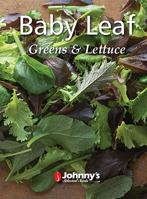 Johnny's Online Babyleaf Catalog