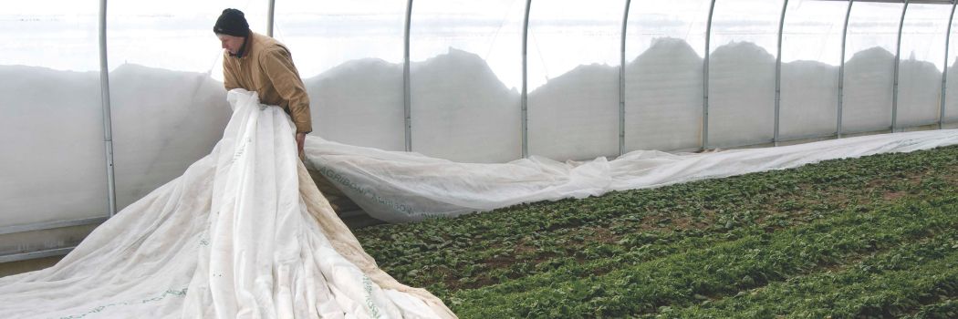 Winter Production in the High Tunnel