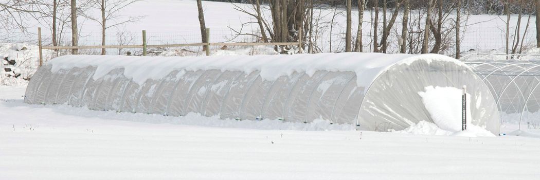 Winter Low Tunnel Protection Methods