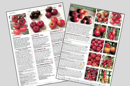 Hylooms in the Johnny's catalog