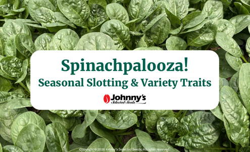 Spinachpalooza—Seasonal Slotting & Variety Traits