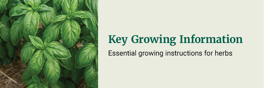 Key Growing Information: essential growing information for herbs