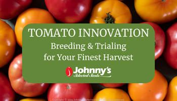 Tomato Innovation Webinar Slide Deck PDF