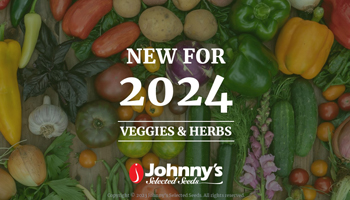 New for 2024: Veggies and Herbs Webinar Slide Deck PDF