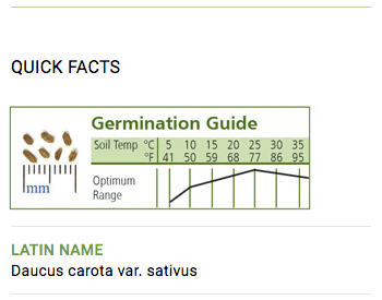 Carrot Seed Germination Guide