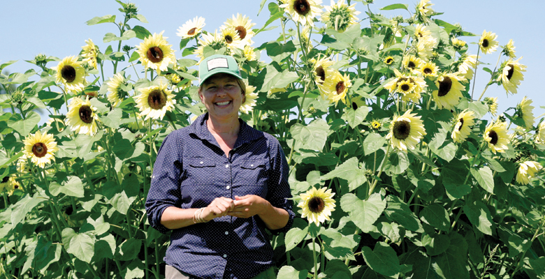 Learn how to choose the right sunflower varieties for your needs