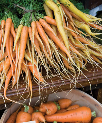 A selection of carrot varieties, available in pelleted seed for uniform plantings and efficient handling.