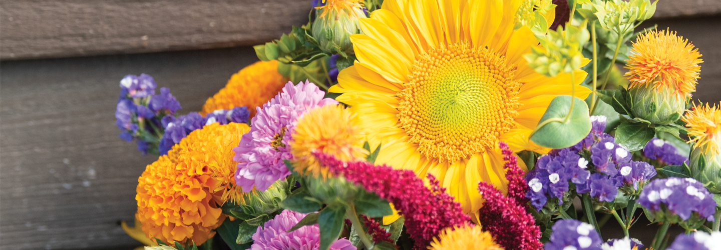 mixed flowers