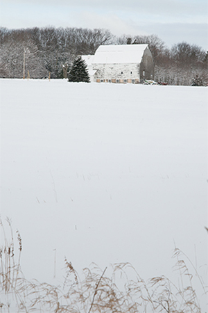 Winter view up the hill from the research farm