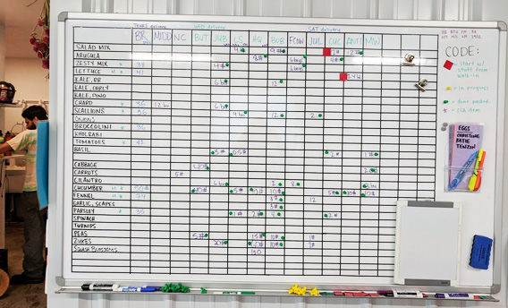 Taylor's dry-erase board