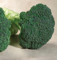 Emerald Crown Broccoli
