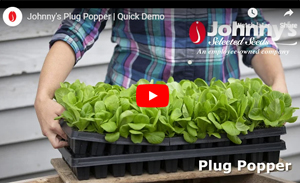 Plug Popper Demo