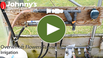 Irrigation Considerations for the Overwinter Flowers Tunnel