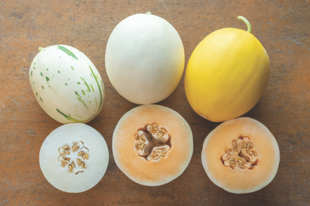 smooth skinned melons