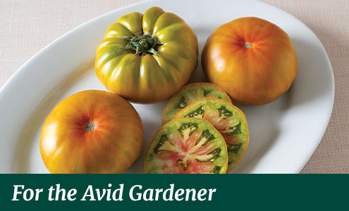 gifts for the avid gardener