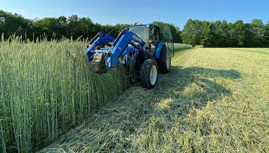 Mowing down the organic winter rye, Johnny's trialing fields, June 2021