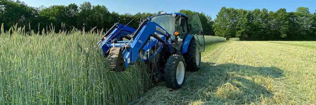 Mowing down the organic winter rye, Johnny's trialing fields, June 2021