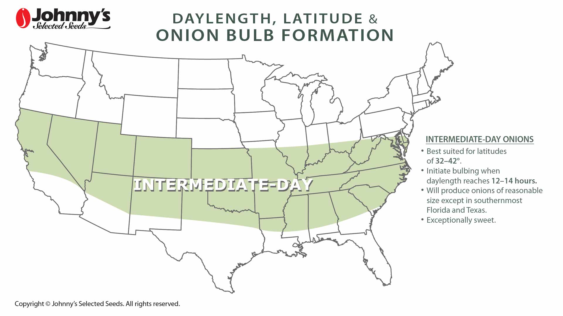 Intermediate-Day Onions: Map & Key Features