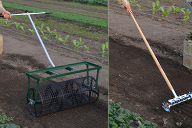 Seedbed Roller & 4-Row Seeder