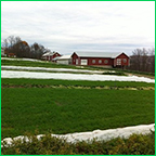 Pleasant Valley Farm in Argyle, New York