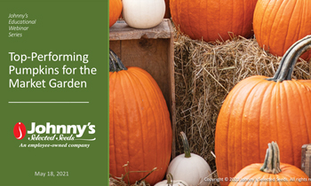 Top-Performing Pumpkins for the Market Garden Recap/Slideshow • 16-pp PDF