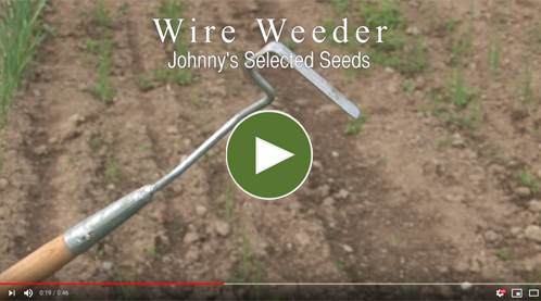 Long- & Short-Handled Wire Weeder Video