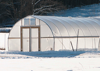 Gothic High Tunnel in January