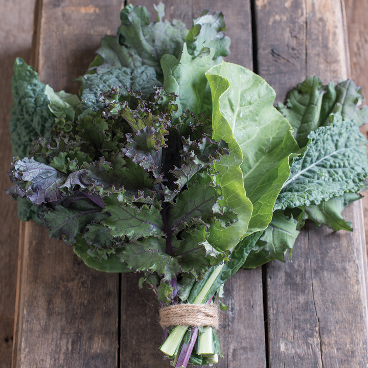 cut kale bunch