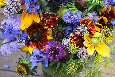 Bouquet with depetaled Rudbeckia hirta